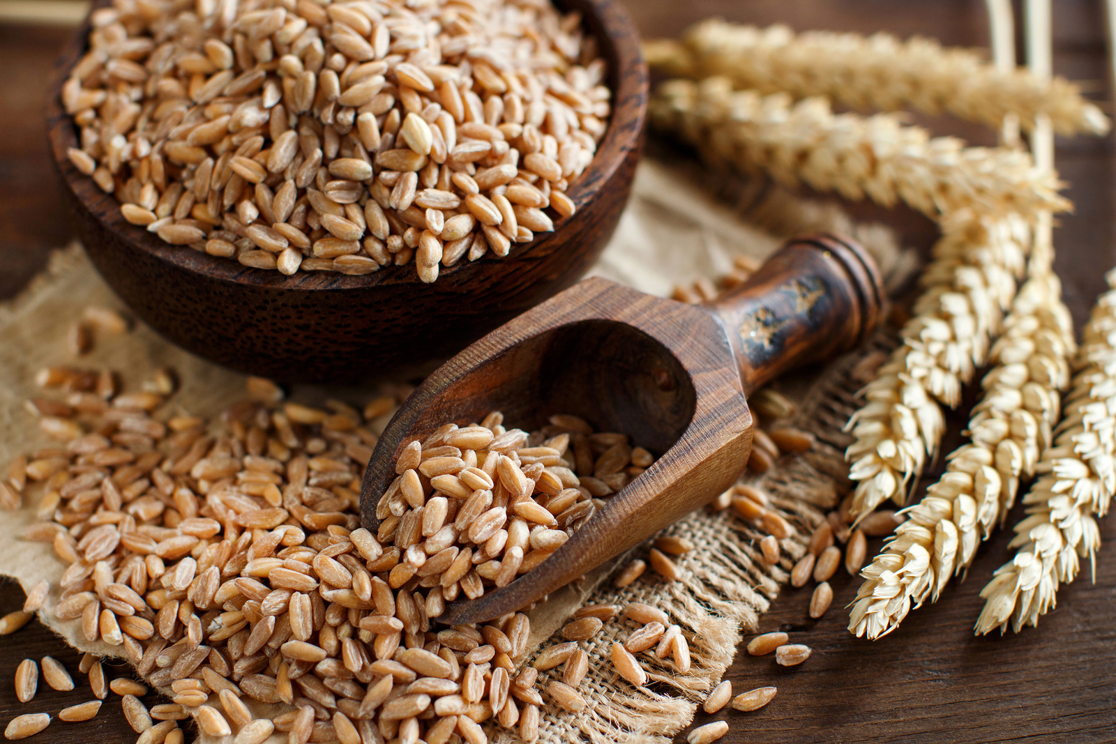 I cereali integrali: quali sono e perché sono importanti